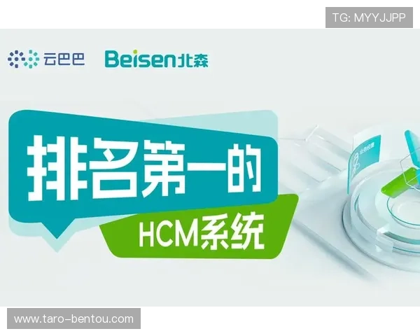 开云网站制作价格透明合理为中小企业提供性价比高的定制化网站建设方案实现成本控制