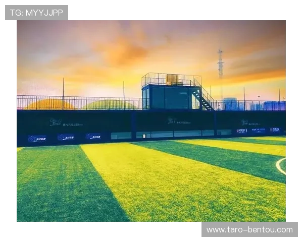 开云足球足球下注平台的优势与特色全面解析助你轻松赢取奖金